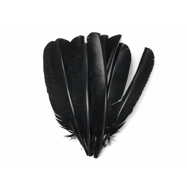 1/4 Lb Black Turkey Pointers Primary Wing Quill Large Wholesale Feather Supplier 